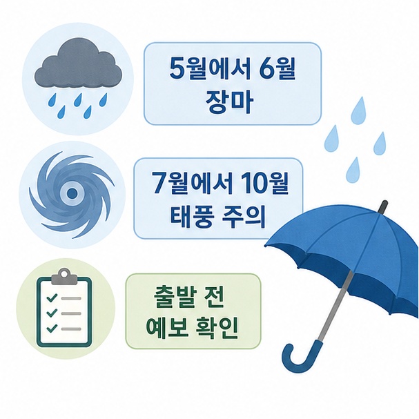 대만의 장마와 태풍 시기를 표시하고 출발 전 일기예보를 확인해야 함을 보여주는 그림