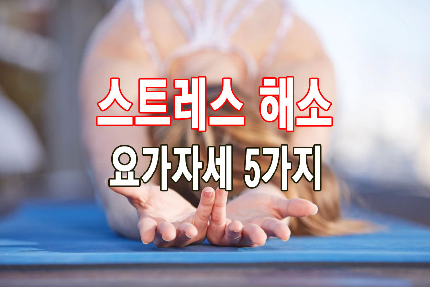 스트레스 해소를 위한 요가자세 5가지 추천