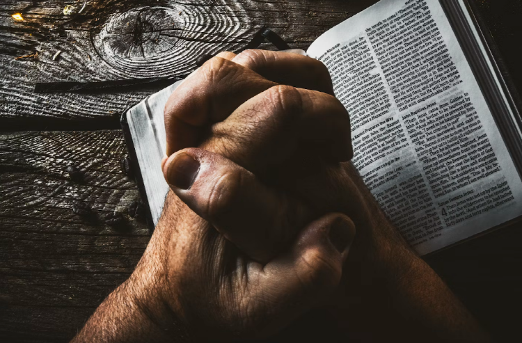 강박 장애 증상