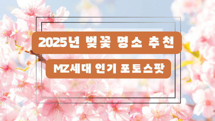 2025년 벚꽃 명소 추천 ❘ MZ세대 인기 포토스팟