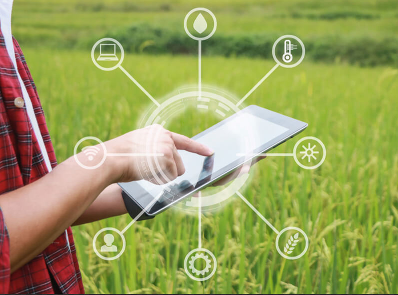 디지털화되어태블릿으로동작가능하사진