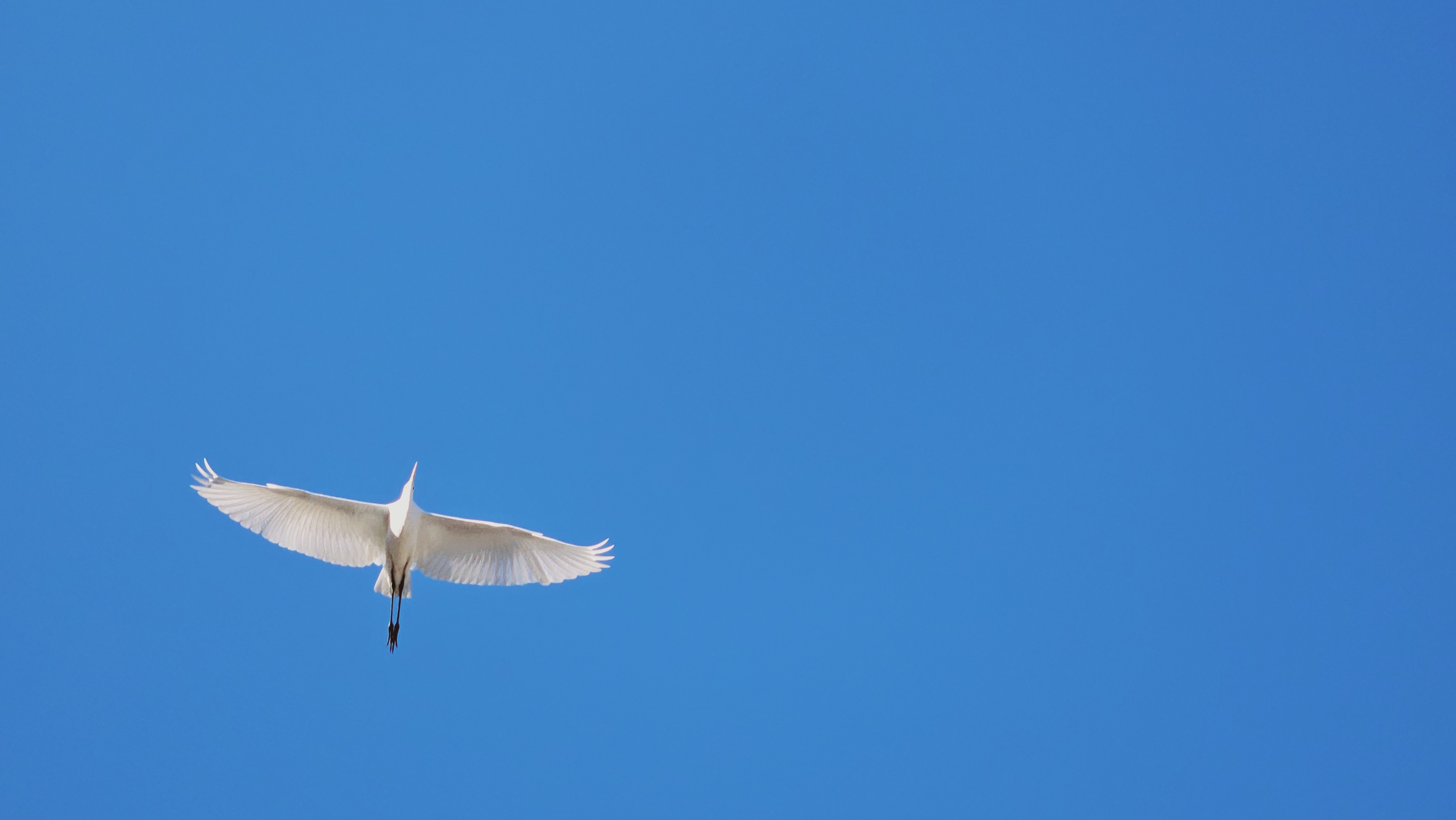 고성당항포랜드