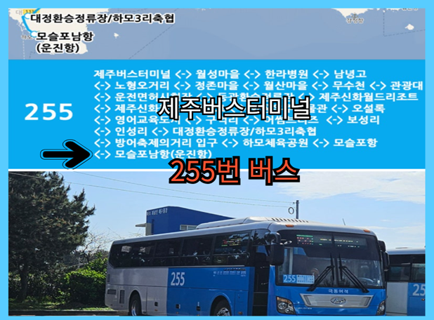 운진항 마라도 배시간표 예약 방법 - 제주시 출발