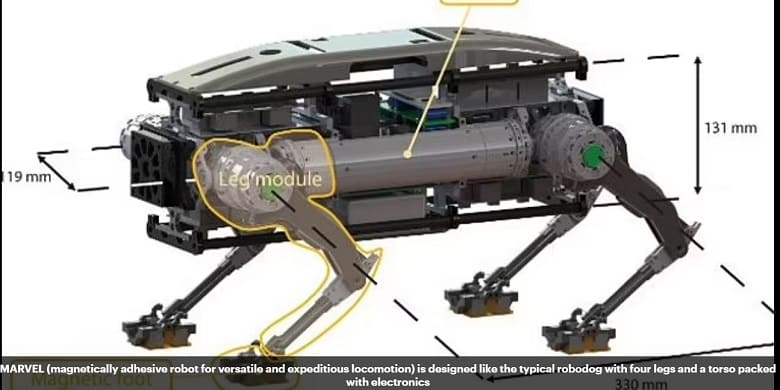 카이스트가 개발한 섬뜩한 마블 사족보행 로봇 VIDEO: Researchers create robot with magnetic 'paws' to climb up walls