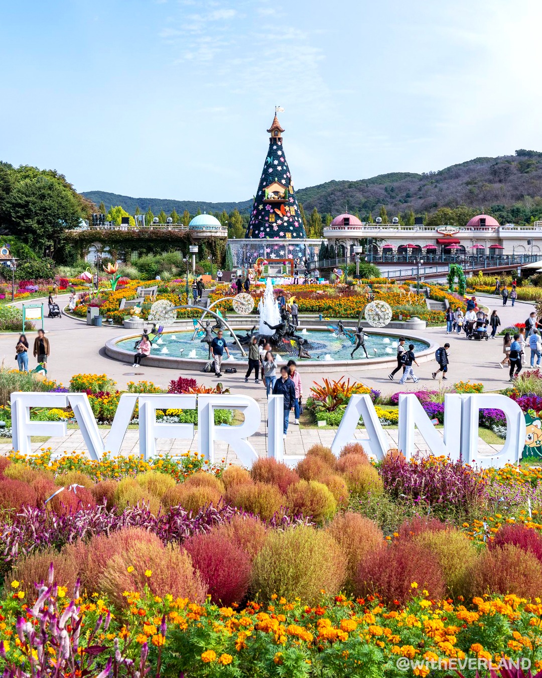 2025 수험생 할인