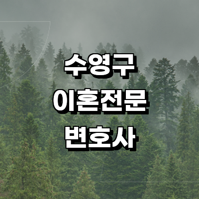 부산 수영구 이혼 변호사