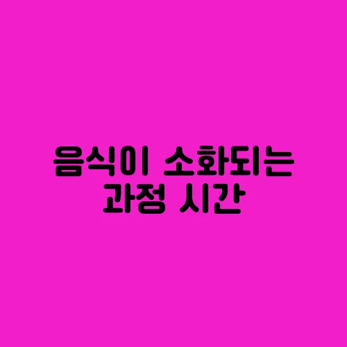 음식이 소화되는 과정 시간