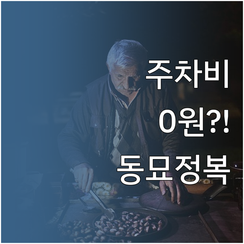 이마트 청계천점 무료 주차 활용한 동..