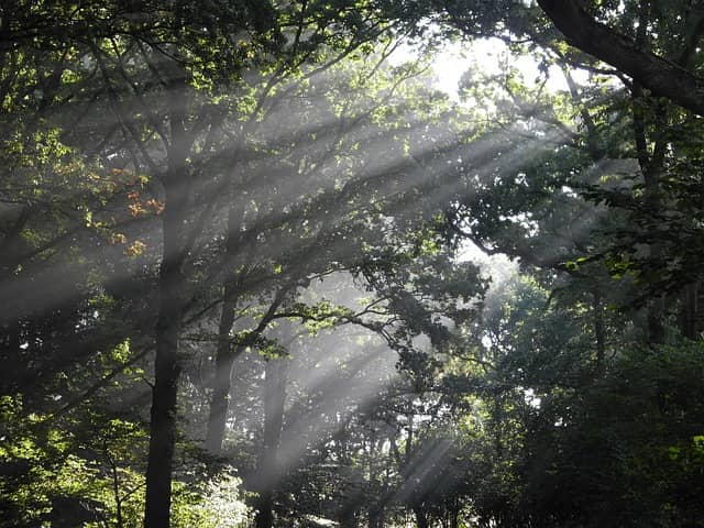 기부금 세액공제 총정리 &mdash; 기본 개념부터 공제 한도까지