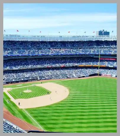 야구 중계방송 (한국 호주)