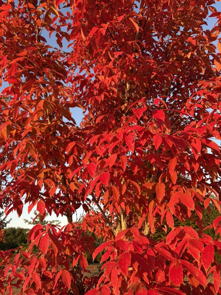 가을 하늘과 도시 전경(히어로)