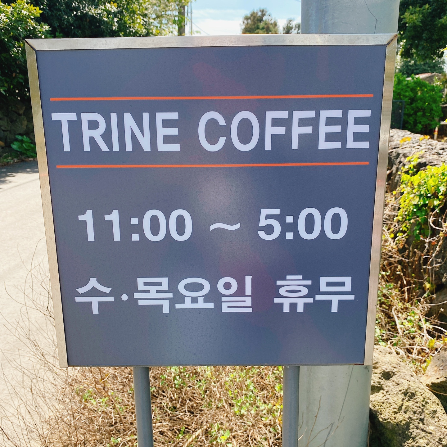 제주 조천 와흘메밀마을 하겐다즈아몬드아포가토 트라인커피 조천카페