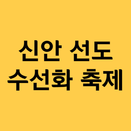 신안 선도 수선화 축제