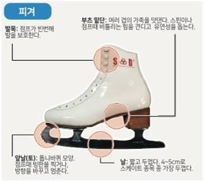 피겨스케이트(국립중앙과학관 제공)