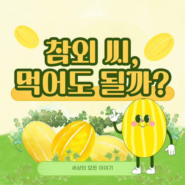 참외-씨-먹어도-될까-세상의-모든-이야기