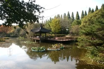 경상남도 수목원 5월의 꽃 관음죽꽃 핑퐁나무 황금자주달개비 마가렛 만첩빈도리 자란 크레이프자스민_6