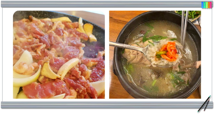 생방송 투데이 외국인의밥상 오리한상 후기