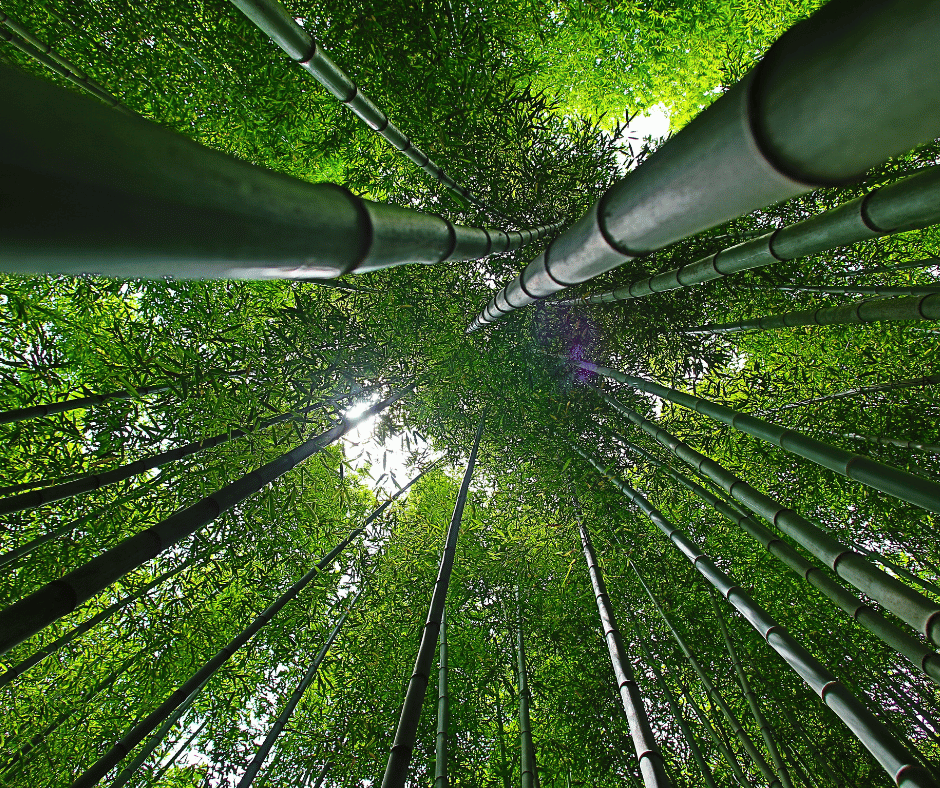 수능 끝나고 떠나는 국내 여행지 BEST 5