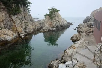 해수욕장 수온 파도 높이 바람 방향 안전한 입수 요령_25