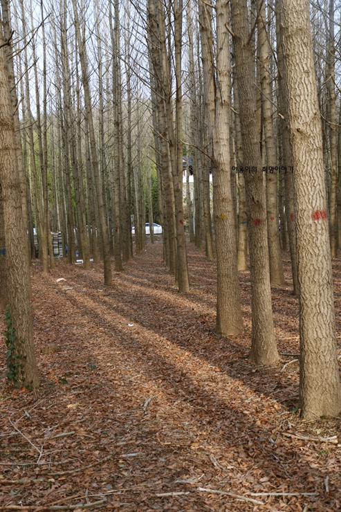 경주 가볼만한곳 베스트10