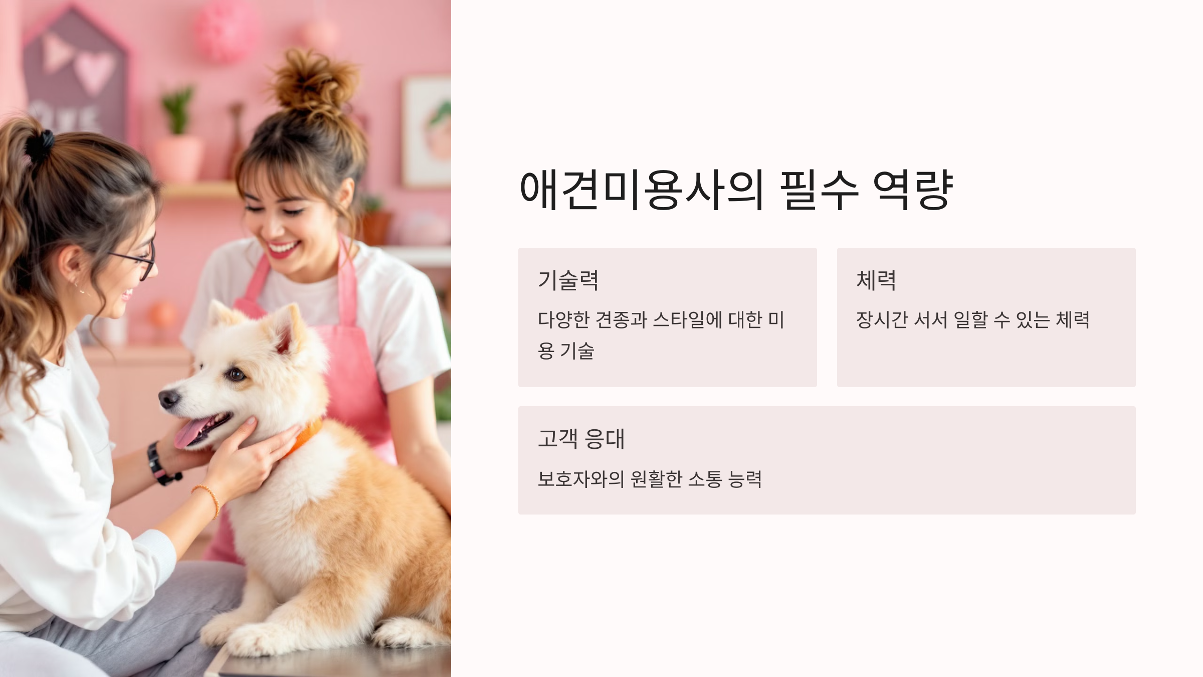 애견미용사가 되려면? – 자격 요건과 과정