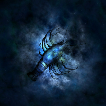 2025년 5월 31일 별자리별 오늘의 운세