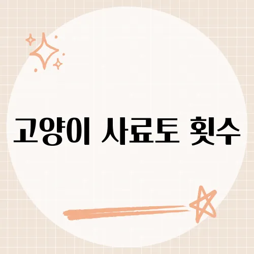 고양이 사료토 횟수, 주 3회 넘으면 위험신호?