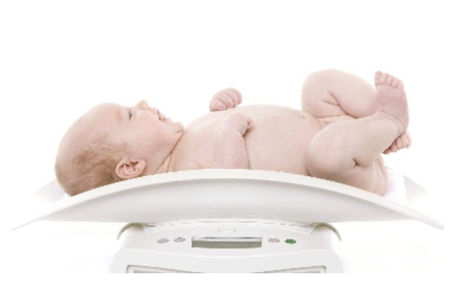 신생아의 체중 증가 추적