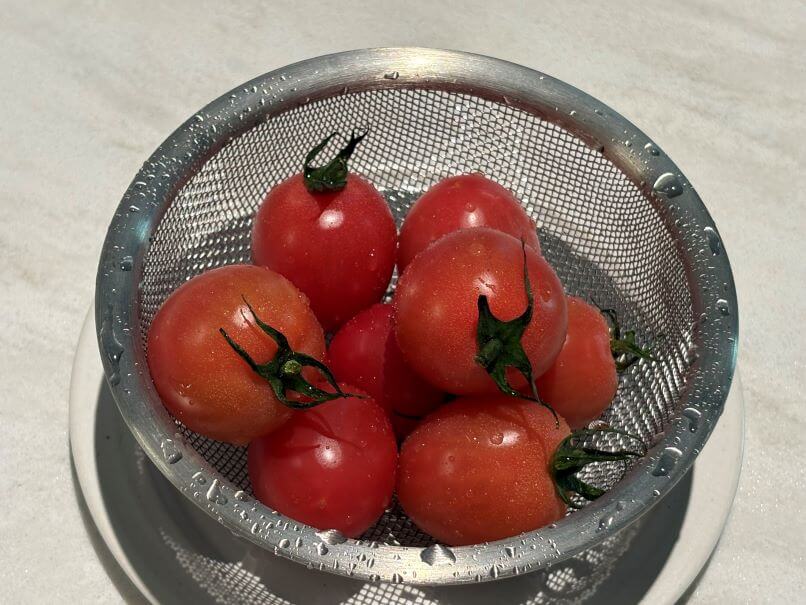 실키 핑크 토마토 맛