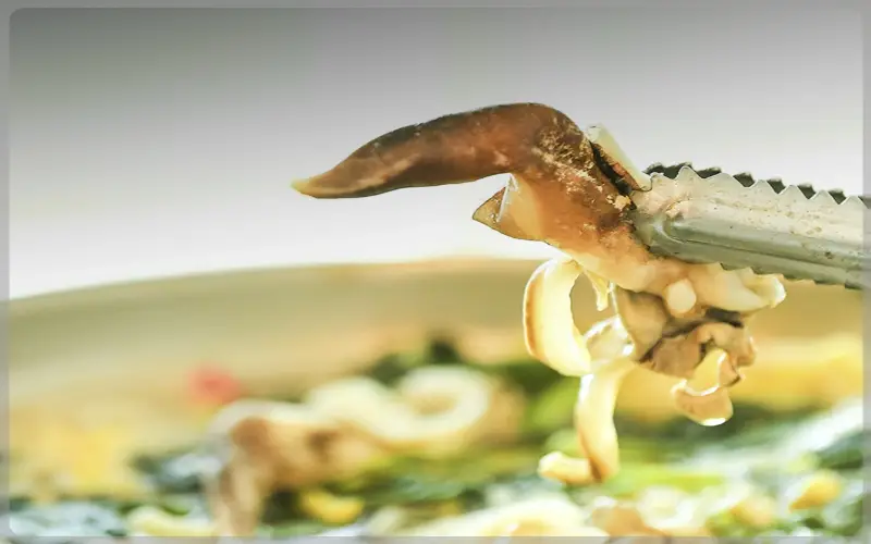 남당항 새조개 축제_1