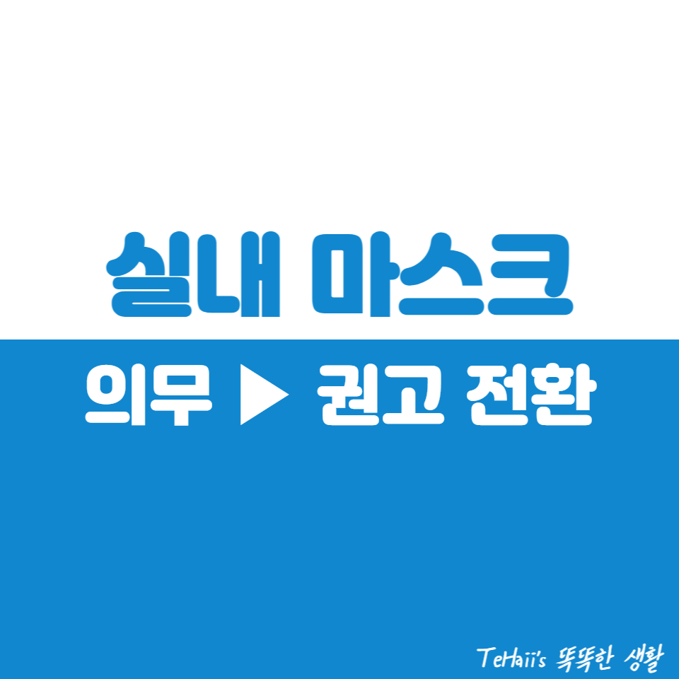 실내 마스크 (1)