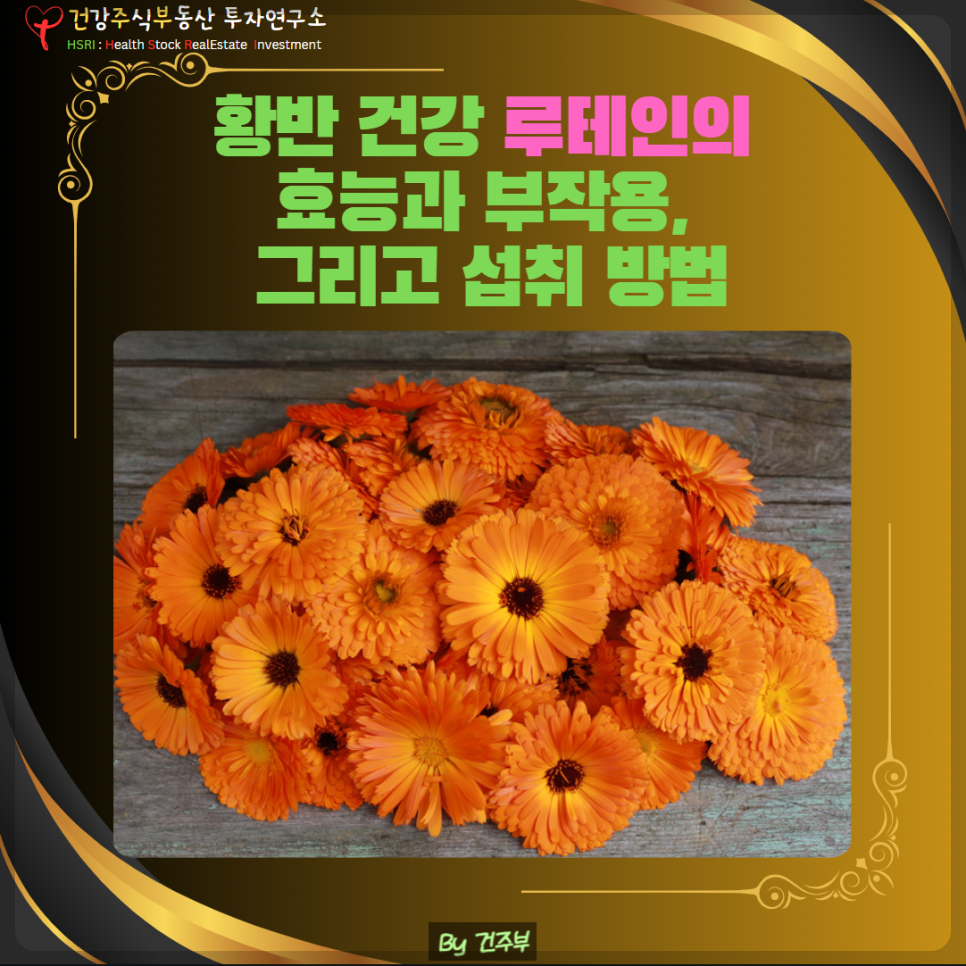 황반 건강 루테인의 효능과 부작용, 그리고 섭취 방법