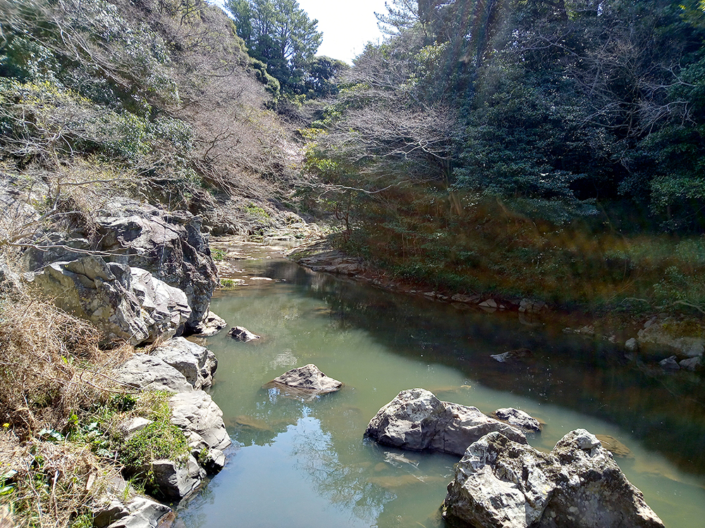 올레9코스: 안덕계곡