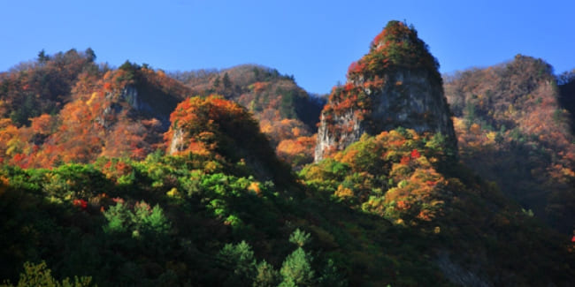 덕항산 등산코스 지도