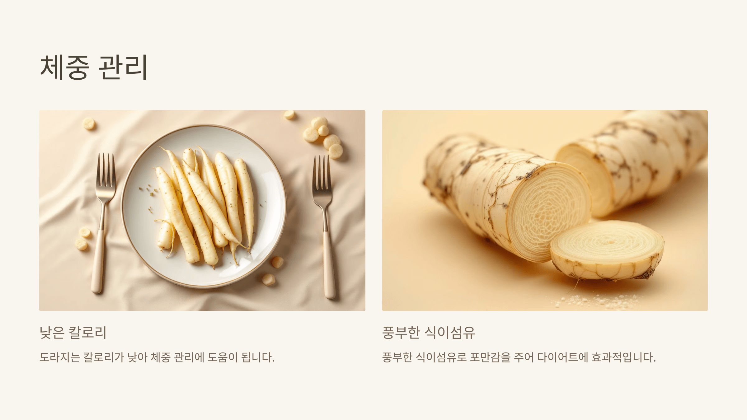 도라지 사진입니다.