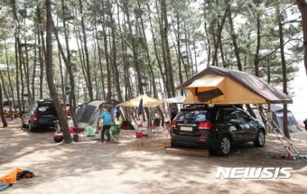 충청도 캠핑장 예약 사이트 실시간 예약 방법_13