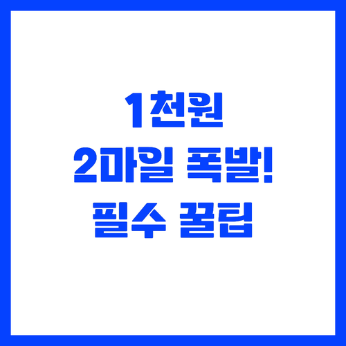 1000원당 2마일 특별 적립 마일리..