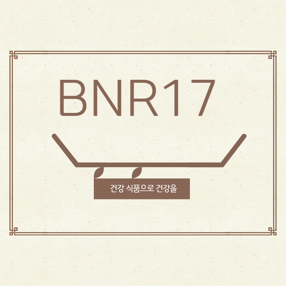 BNR17