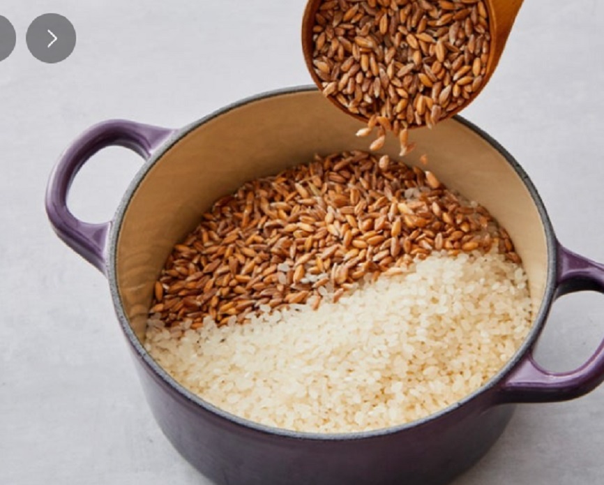 파로쌀-파로-효능-혈당다이어트