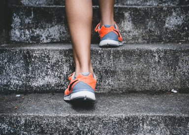 콘드로이친 효능