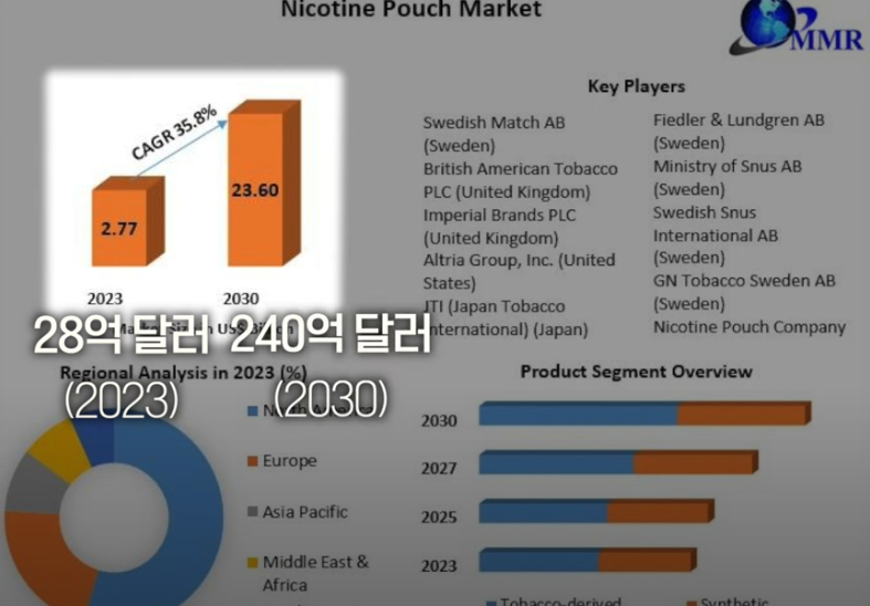 니코틴 파우더의 마켙 성장 가능성