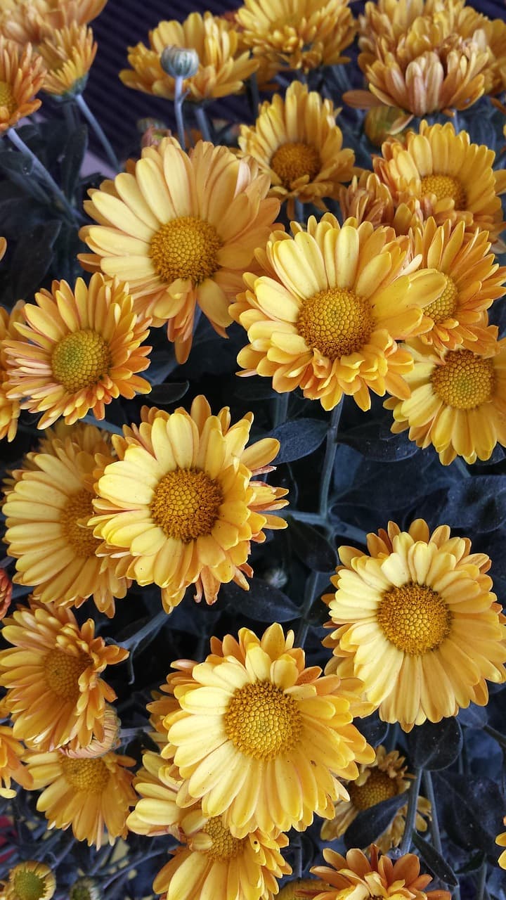 교통비 절약 + 친환경 실천! 서울시 기후 동행 카드 완벽 정리