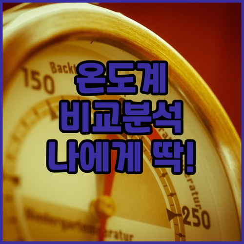 다양한 디지털 온도계 비교 분석 나에..