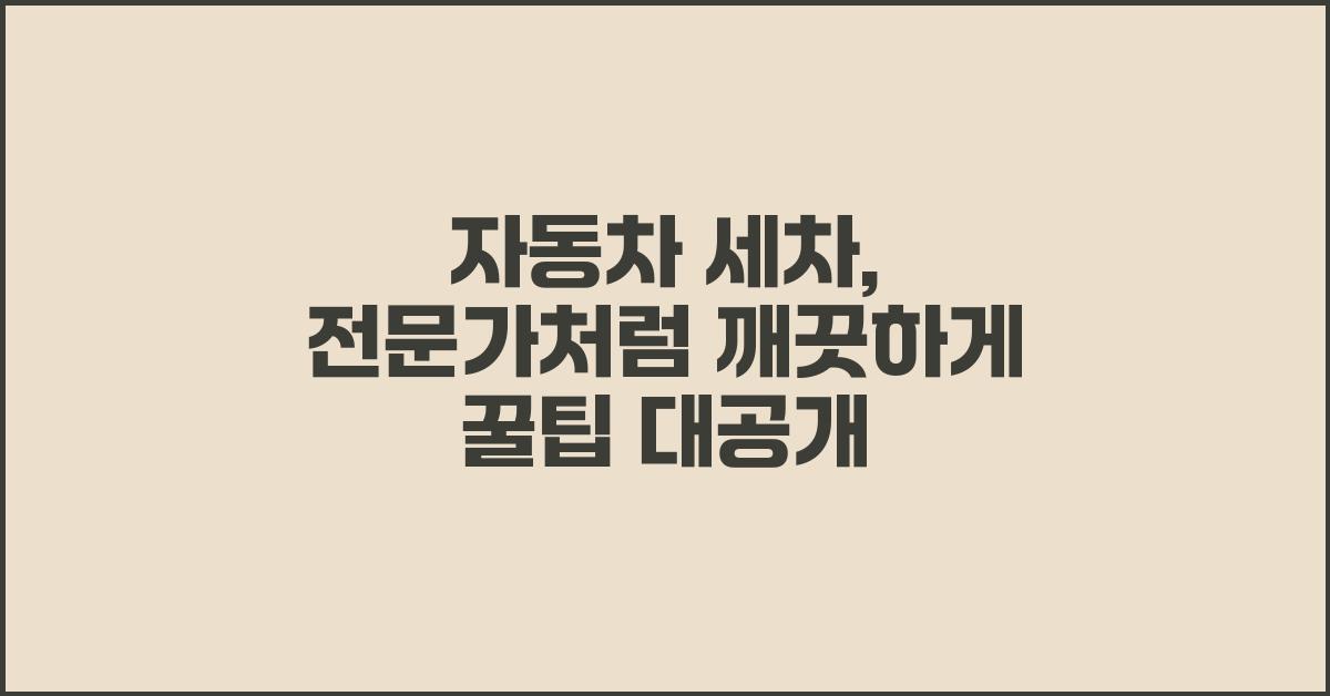 자동차 세차, 전문가처럼 깨끗하게!