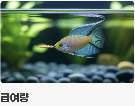 먹이 - 가리지 않는 &amp;#39;튼튼한 식성&amp;#39;