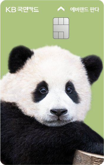 에버랜드 판다카드 푸바오 에디션 디자인