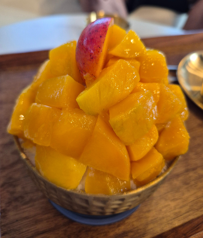 애플망고포레 망고빙수 제주산 애플망고