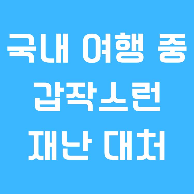 국내 여행 중 갑작스런 재난 대처