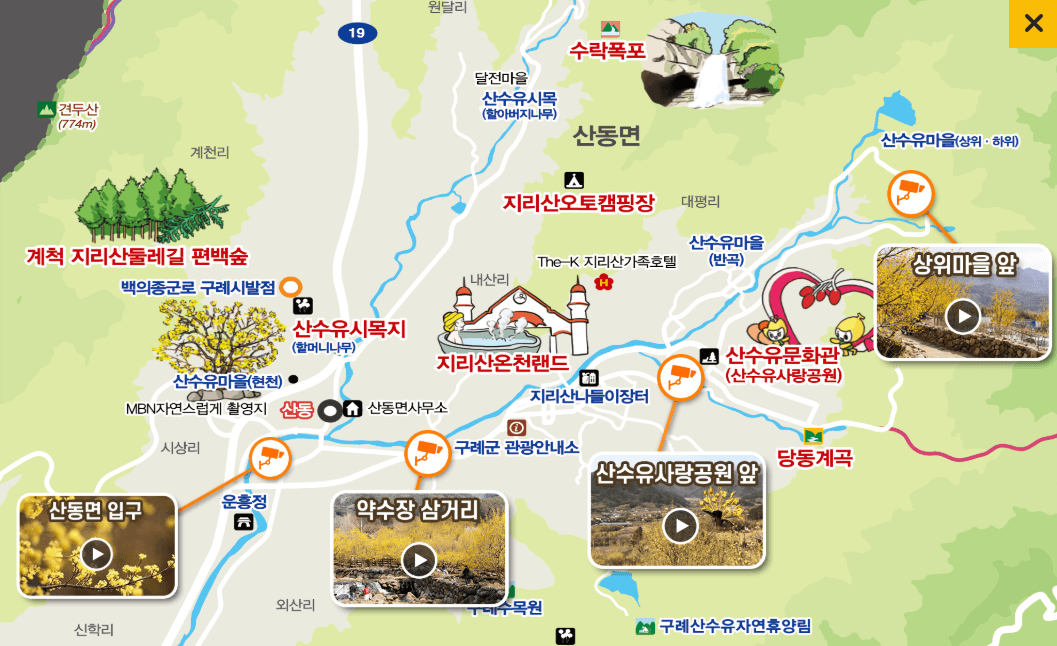 구례 산수유축제