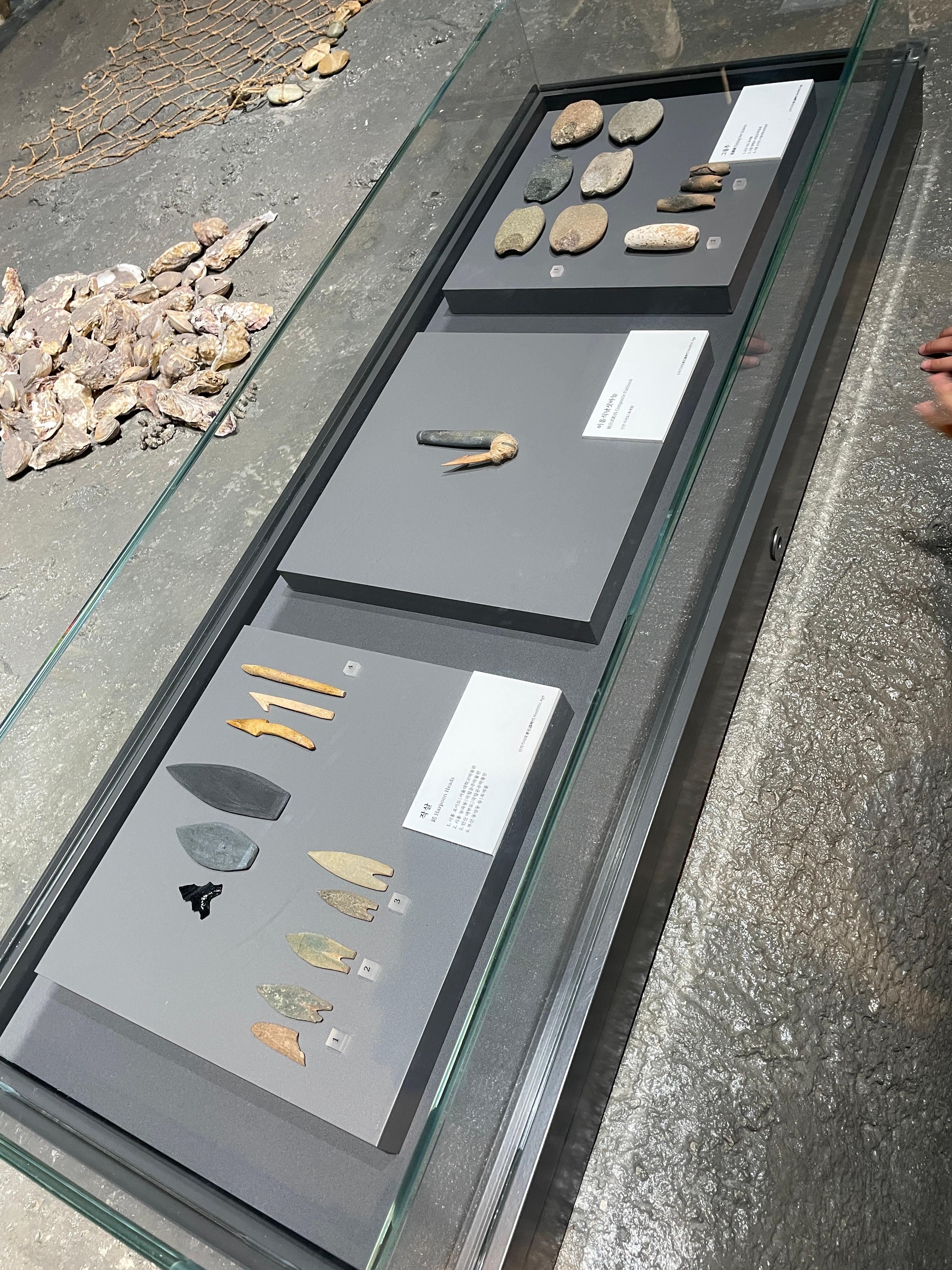 시흥 오이도 박물관 어린이 체험 예약 관련사진